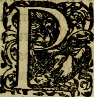 An illustration from Americae pars sexta, siue, Historiæ ab Hieronymo Bezono Mediolanese scriptæ, sectio tertia : res nõ minus nobiles & admiratione plenas continens, quàm præcedentes duæ : in hac enim reperies, qua ratione Hispani opuletissimas illas Peruäni regni prouincias occuparint, capto Rege Atabaliba : deide orta inter ipsos Hispanos in eo regno ciuilia bella : additus est breuis de fortunatis insulis cõmentariolus in duo capita distinctus : item additiones ad singula capita historiam illustrantes : accesit Perväni regni chorographica tabula ... : omnia elegantibus figuris in æs incisis expressa ;, 1596, leaf 88