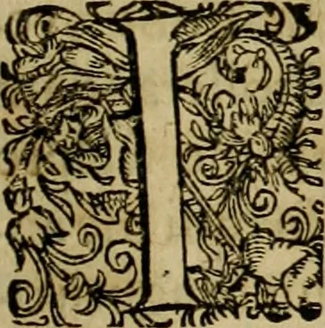 An illustration from Americae pars sexta, siue, Historiæ ab Hieronymo Bezono Mediolanese scriptæ, sectio tertia : res nõ minus nobiles & admiratione plenas continens, quàm præcedentes duæ : in hac enim reperies, qua ratione Hispani opuletissimas illas Peruäni regni prouincias occuparint, capto Rege Atabaliba : deide orta inter ipsos Hispanos in eo regno ciuilia bella : additus est breuis de fortunatis insulis cõmentariolus in duo capita distinctus : item additiones ad singula capita historiam illustrantes : accesit Perväni regni chorographica tabula ... : omnia elegantibus figuris in æs incisis expressa ;, 1596, leaf 98