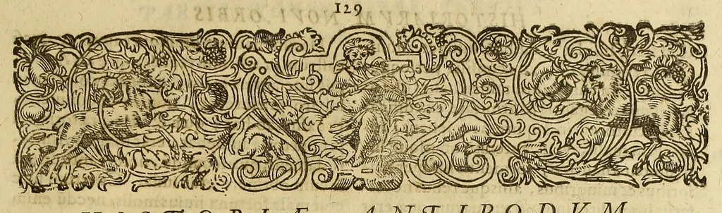 An illustration from Americae pars VIII. : Continens primo, Descriptionem trium itinerum nobilissimi et fortissimi equitis Francisci Draken, qui circumnauigato vniuerso terrarum orbe, postea copiis nauticis, ad expugnandum ciuitatem Panamam, in Indiam nauigauit. Secundo, iter nobilissimi equitis Thomae Candisch, qui duorum ferè annorum spacio, 13000. Anglicana miliaria in mari confecit, vbi describuntur quoque omnia quae in hoc itinere ipsi acciderunt & visa sunt. Tertio, duo itinera, nobilissimi & fortissimi equitis Gualtheri Ralech quibus describitur auriferum & potentissimum regnum Guiana, ad septentrionem fluminis Orenoque, alias Oregliana dicti, situm cum metropoli eius Manoa & Macuieguarai, aliisque finitimis regionibus & fluuis, mercibus item praestantissimis & mercatura, quae in regno hoc exercetur, cuius luculenta tabula geographica in fronte operis occurrit., 1625, leaf 139