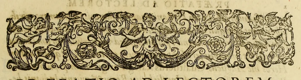 An illustration from Americae pars VIII. : Continens primo, Descriptionem trium itinerum nobilissimi et fortissimi equitis Francisci Draken, qui peragrato primum vniuerso terrarum orbe, postea cum nobilissimo equite Iohanne Hauckens, ad expugnandum ciuitatem Panama, in Indiam nauigauit, vbi vitam suam ambo finierunt. Secundo, iter noblissimi equitis Thomae Candisch, qui duorum ferè annorum spacio, 13000. Anglicana miliaria in mari confecit, vbi describuntur quoque omnia quae in hoc itinere ipsi acciderunt & visa sunt. Tertio, duo itinera, nobilissimi & fortissimi domini Gualtheri Ralegh equitis & designati gubernatoris regij in Anglia praesidij, nec non fortissimi capitanei Laurentii Keyms. Quibus itineribus describitur auriferum et potentissimum regnum Guiana, ad septentrionem fluminis Orenoque, aliàs Oreciliana dicti, situm, cum metropoli eius Manoa & Macuieguarai, aliisq[ue] finitimis regionibus & fluuis, mereibus item praestantissimis, & mercatura, quae in regno hoc exercetur., 1599, leaf 13