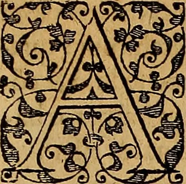 An illustration from Americae tertia pars : memorabile provinciæ Brasiliæ historiam contines, 1592, leaf 102