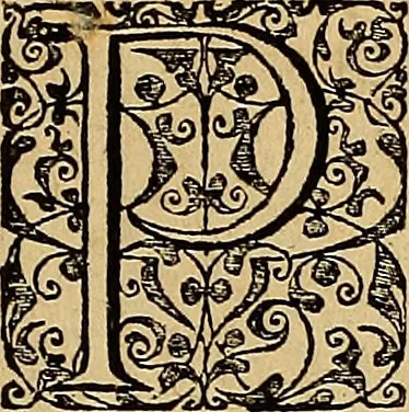 An illustration from Americae tertia pars : memorabile provinciæ Brasiliæ historiam contines, 1592, leaf 104