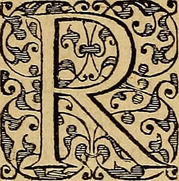 An illustration from Americae tertia pars : memorabile provinciæ Brasiliæ historiam contines, 1592, leaf 106