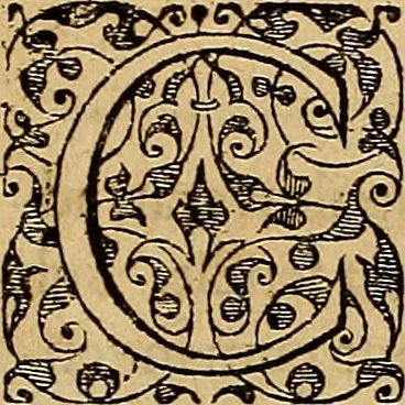 An illustration from Americae tertia pars : memorabile provinciæ Brasiliæ historiam contines, 1592, leaf 108