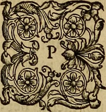 An illustration from Americae tertia pars : memorabile provinciæ Brasiliæ historiam contines, 1592, leaf 109