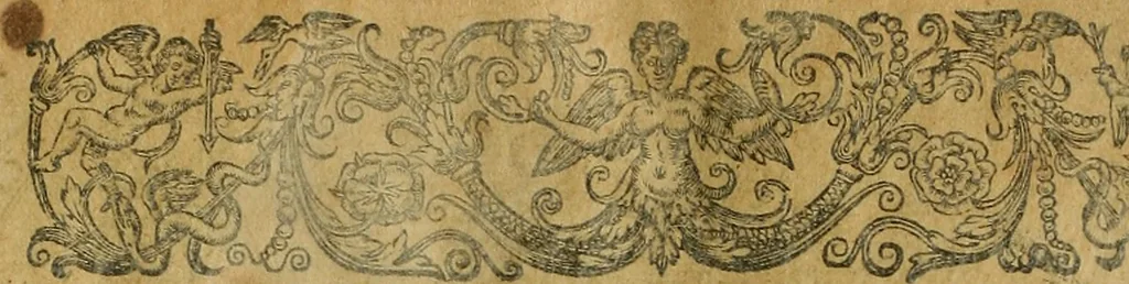 An illustration from Americae tertia pars : memorabile provinciæ Brasiliæ historiam contines, 1592, leaf 11