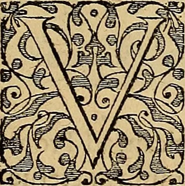 An illustration from Americae tertia pars : memorabile provinciæ Brasiliæ historiam contines, 1592, leaf 122