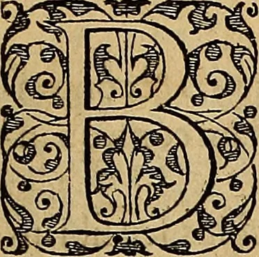 An illustration from Americae tertia pars : memorabile provinciæ Brasiliæ historiam contines, 1592, leaf 124