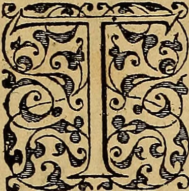 An illustration from Americae tertia pars : memorabile provinciæ Brasiliæ historiam contines, 1592, leaf 126