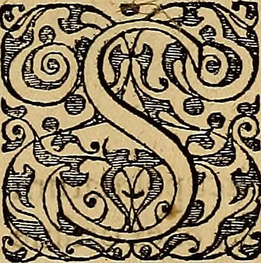 An illustration from Americae tertia pars : memorabile provinciæ Brasiliæ historiam contines, 1592, leaf 126