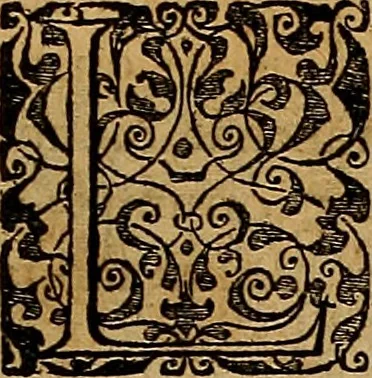 An illustration from Americae tertia pars : memorabile provinciæ Brasiliæ historiam contines, 1592, leaf 128