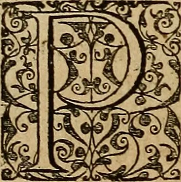 An illustration from Americae tertia pars : memorabile provinciæ Brasiliæ historiam contines, 1592, leaf 129