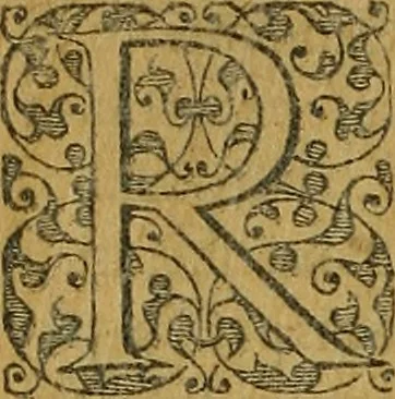 An illustration from Americae tertia pars : memorabile provinciæ Brasiliæ historiam contines, 1592, leaf 13