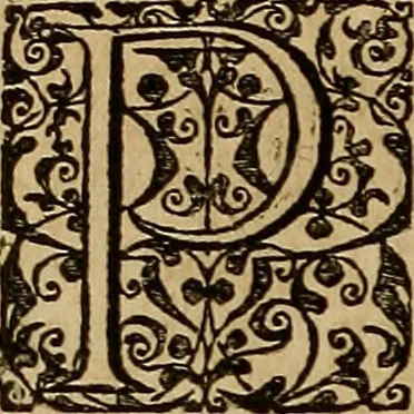 An illustration from Americae tertia pars : memorabile provinciæ Brasiliæ historiam contines, 1592, leaf 131