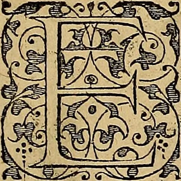 An illustration from Americae tertia pars : memorabile provinciæ Brasiliæ historiam contines, 1592, leaf 132