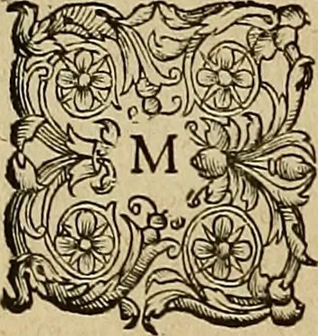 An illustration from Americae tertia pars : memorabile provinciæ Brasiliæ historiam contines, 1592, leaf 135