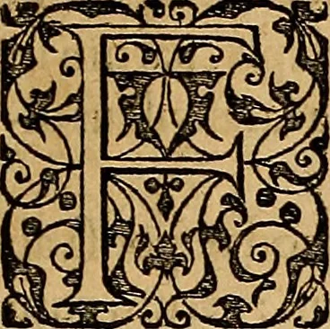 An illustration from Americae tertia pars : memorabile provinciæ Brasiliæ historiam contines, 1592, leaf 138