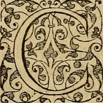 An illustration from Americae tertia pars : memorabile provinciæ Brasiliæ historiam contines, 1592, leaf 139