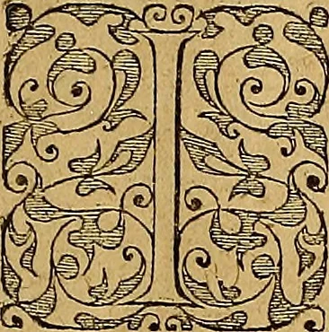 An illustration from Americae tertia pars : memorabile provinciæ Brasiliæ historiam contines, 1592, leaf 14