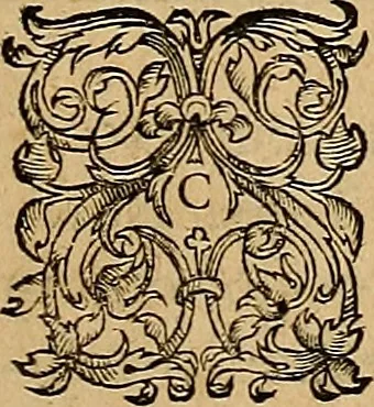 An illustration from Americae tertia pars : memorabile provinciæ Brasiliæ historiam contines, 1592, leaf 140
