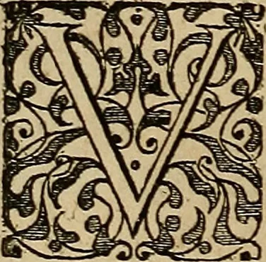An illustration from Americae tertia pars : memorabile provinciæ Brasiliæ historiam contines, 1592, leaf 143