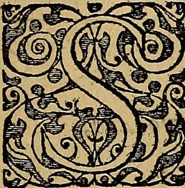 An illustration from Americae tertia pars : memorabile provinciæ Brasiliæ historiam contines, 1592, leaf 150
