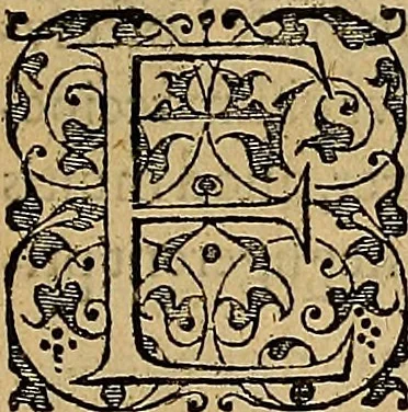 An illustration from Americae tertia pars : memorabile provinciæ Brasiliæ historiam contines, 1592, leaf 150