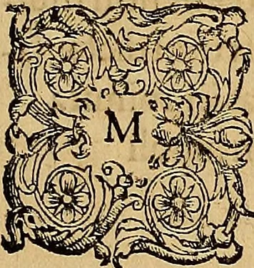 An illustration from Americae tertia pars : memorabile provinciæ Brasiliæ historiam contines, 1592, leaf 152