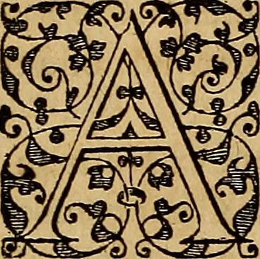 An illustration from Americae tertia pars : memorabile provinciæ Brasiliæ historiam contines, 1592, leaf 154