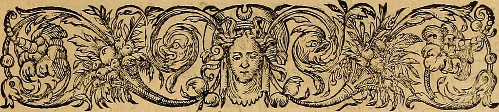An illustration from Americae tertia pars : memorabile provinciæ Brasiliæ historiam contines, 1592, leaf 158