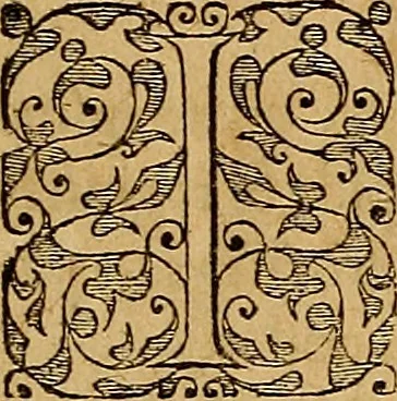 An illustration from Americae tertia pars : memorabile provinciæ Brasiliæ historiam contines, 1592, leaf 16