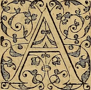 An illustration from Americae tertia pars : memorabile provinciæ Brasiliæ historiam contines, 1592, leaf 162
