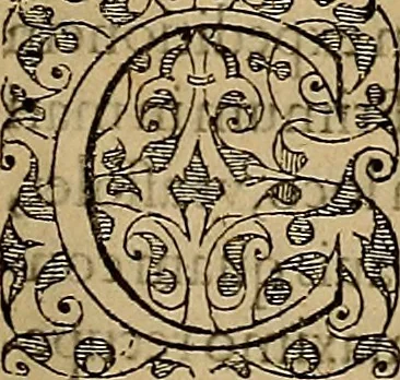 An illustration from Americae tertia pars : memorabile provinciæ Brasiliæ historiam contines, 1592, leaf 166