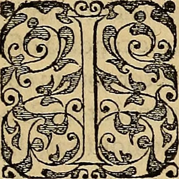 An illustration from Americae tertia pars : memorabile provinciæ Brasiliæ historiam contines, 1592, leaf 178