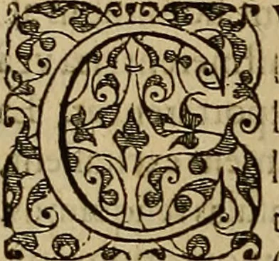 An illustration from Americae tertia pars : memorabile provinciæ Brasiliæ historiam contines, 1592, leaf 183