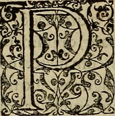 An illustration from Americae tertia pars : memorabile provinciæ Brasiliæ historiam contines, 1592, leaf 199