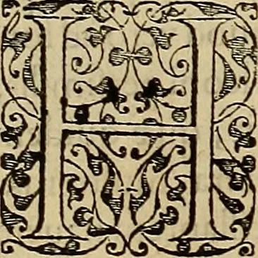 An illustration from Americae tertia pars : memorabile provinciæ Brasiliæ historiam contines, 1592, leaf 205