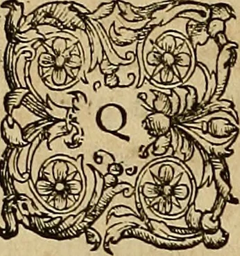 An illustration from Americae tertia pars : memorabile provinciæ Brasiliæ historiam contines, 1592, leaf 225