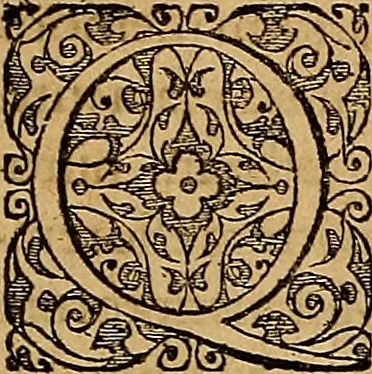An illustration from Americae tertia pars : memorabile provinciæ Brasiliæ historiam contines, 1592, leaf 242