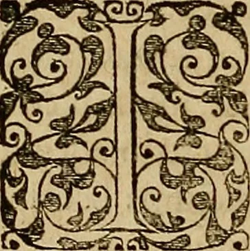 An illustration from Americae tertia pars : memorabile provinciæ Brasiliæ historiam contines, 1592, leaf 255
