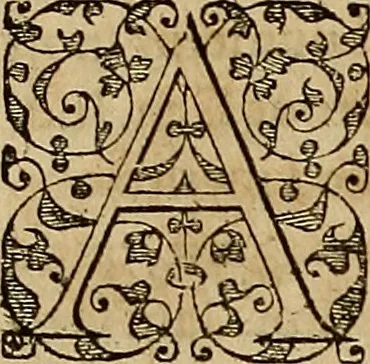 An illustration from Americae tertia pars : memorabile provinciæ Brasiliæ historiam contines, 1592, leaf 259