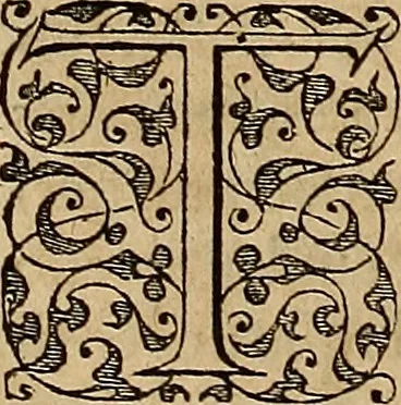 An illustration from Americae tertia pars : memorabile provinciæ Brasiliæ historiam contines, 1592, leaf 267