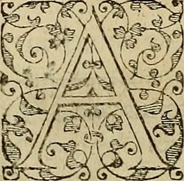 An illustration from Americae tertia pars : memorabile provinciæ Brasiliæ historiam contines, 1592, leaf 27