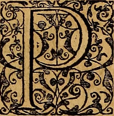 An illustration from Americae tertia pars : memorabile provinciæ Brasiliæ historiam contines, 1592, leaf 288