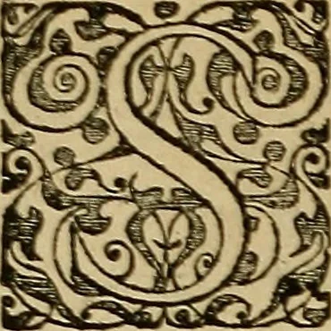 An illustration from Americae tertia pars : memorabile provinciæ Brasiliæ historiam contines, 1592, leaf 29