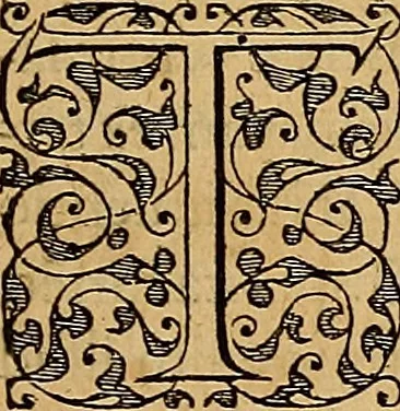 An illustration from Americae tertia pars : memorabile provinciæ Brasiliæ historiam contines, 1592, leaf 296