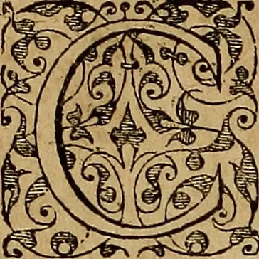 An illustration from Americae tertia pars : memorabile provinciæ Brasiliæ historiam contines, 1592, leaf 307