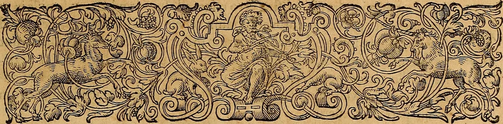 An illustration from Americae tertia pars : memorabile provinciæ Brasiliæ historiam contines, 1592, leaf 308