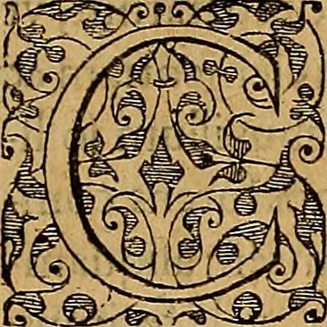 An illustration from Americae tertia pars : memorabile provinciæ Brasiliæ historiam contines, 1592, leaf 308