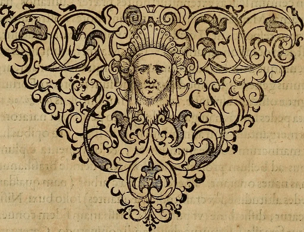 An illustration from Americae tertia pars : memorabile provinciæ Brasiliæ historiam contines, 1592, leaf 313